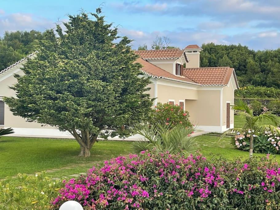 Azores Green Nature Rabo de Peixe Dış mekan fotoğraf